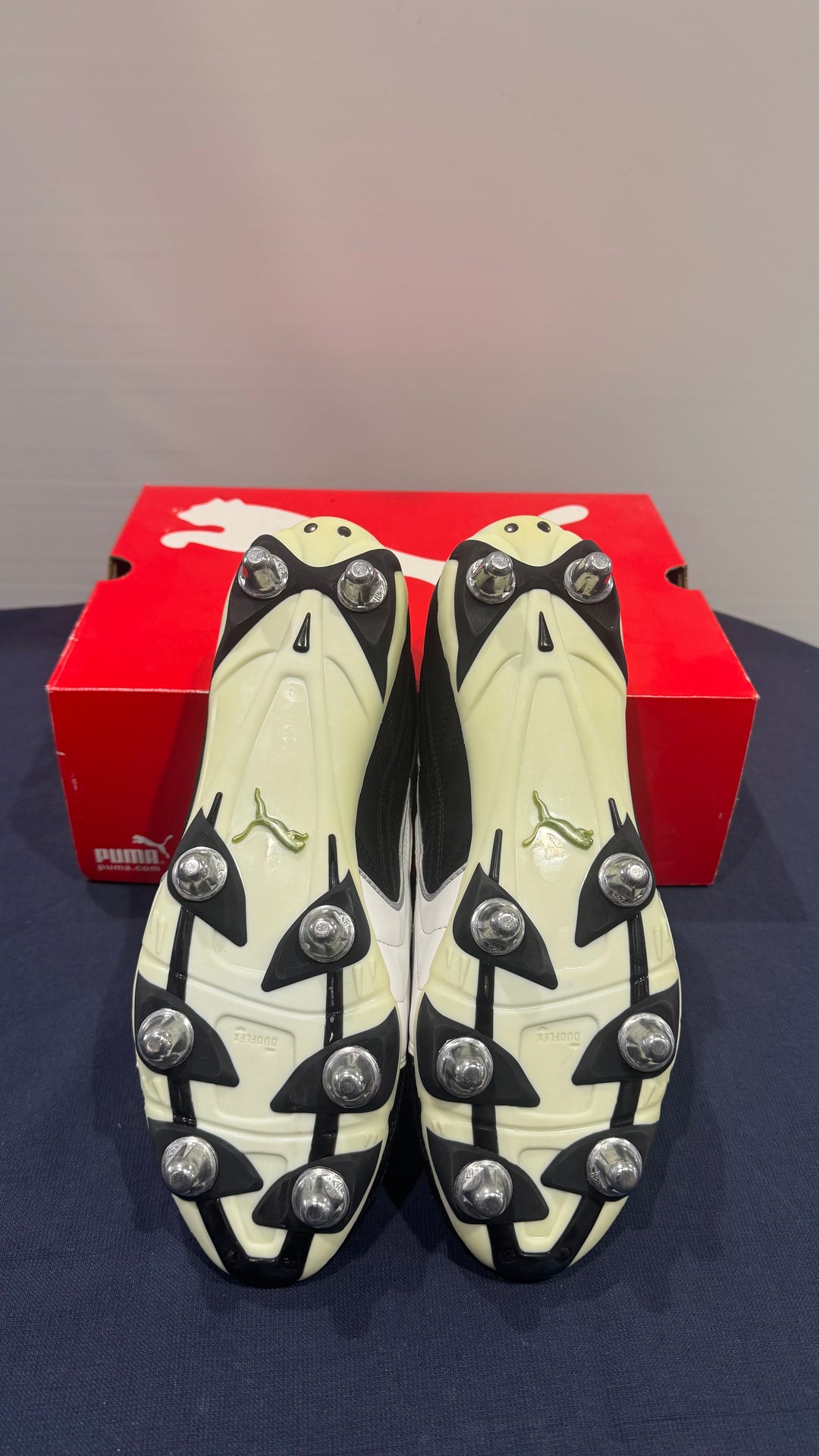 CALISTO H8 BLACK-WHITE-GOLD